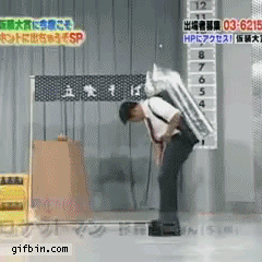 1356736571_7482767544