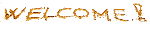 im