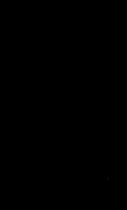 323