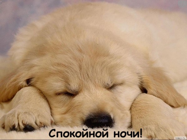 споки ноки