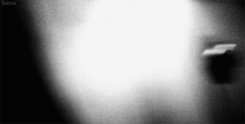 tumblr_mdn7b8ZCOB1qafco9o1_500