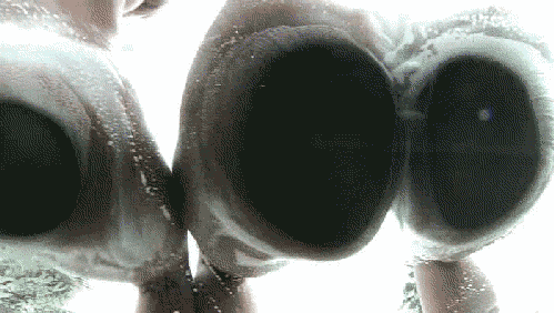 !!!!попца два у стекал