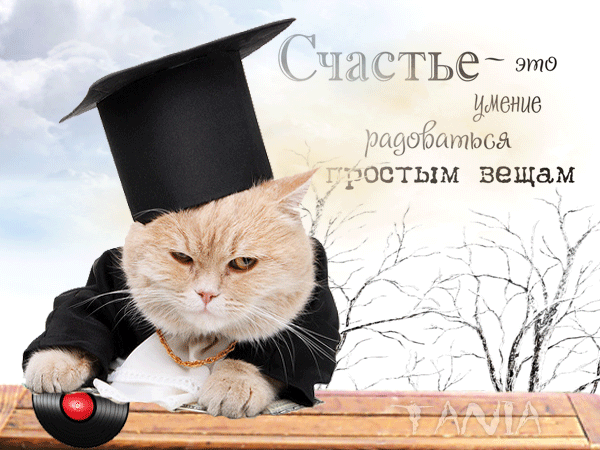 Без-имени-1.gif--cat
