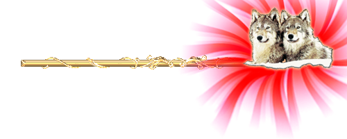 Без имени-1