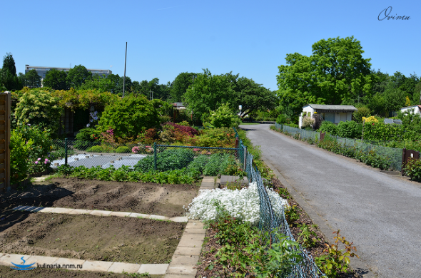 2c965977873aa3e524055d470a4_prev