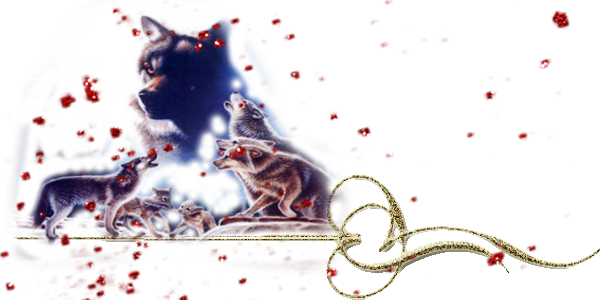 Без имени-1 (2)