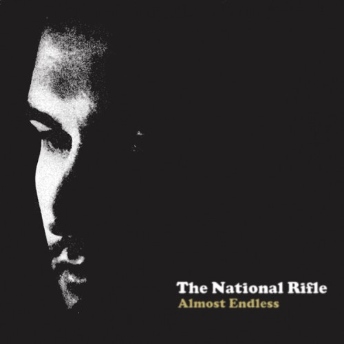 The National Rifle - Almost Endless (2013)