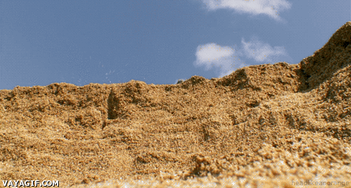 75bdcf6cab0ac7b67eeed20