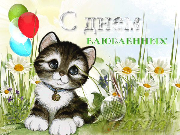 Без-имени-1--val