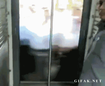 1360826960_1881335932