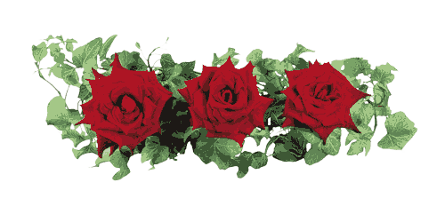 три розы