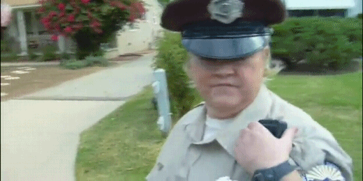 spalilsya_s_2mya_kustami_yapfiles.ru