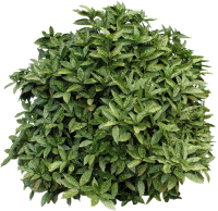 0_6ab2f_a849f044_L_yapfiles.ru.pngтьтьть