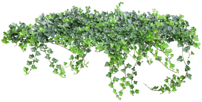 0_588d9_942d4f3e_XL.pngьтьтьт