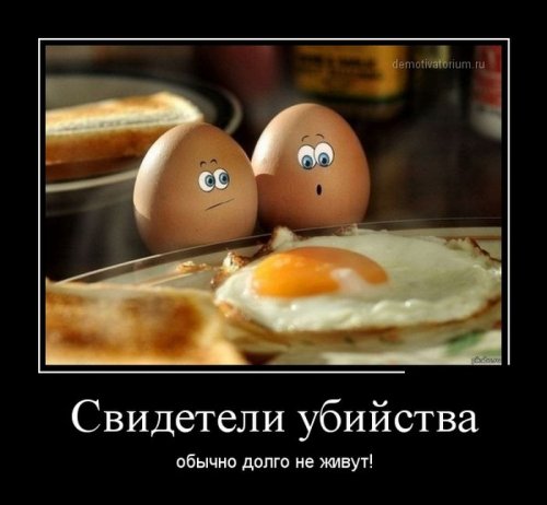 яйца