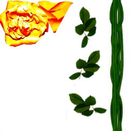 цветок роза амбер1