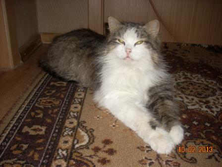 кузя
