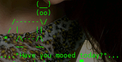 mooo