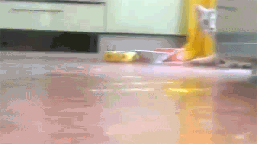 1363205808_fungif_24