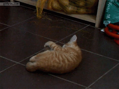 gifs_25