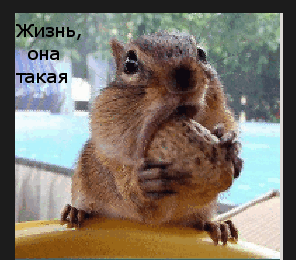 первая