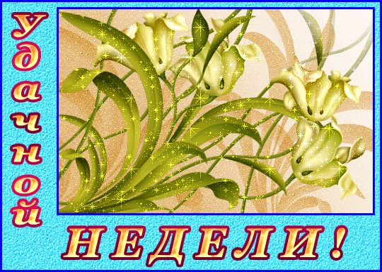 Удачной недели