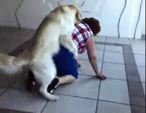 dog-loves-grandma