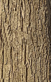 cylinder3