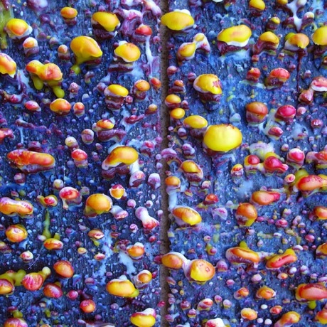 Pick a Piper - Pick a Piper