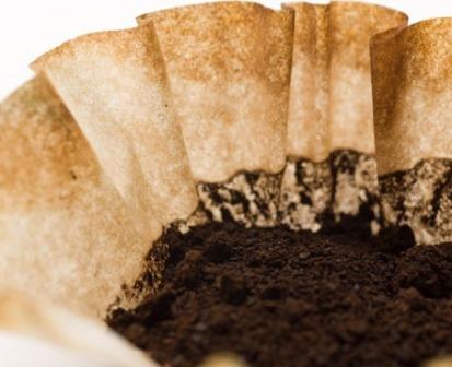 coffee guscha