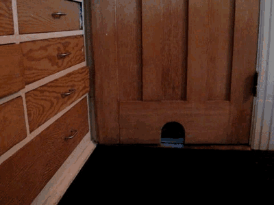 0_bad68_70384f89_L.gif