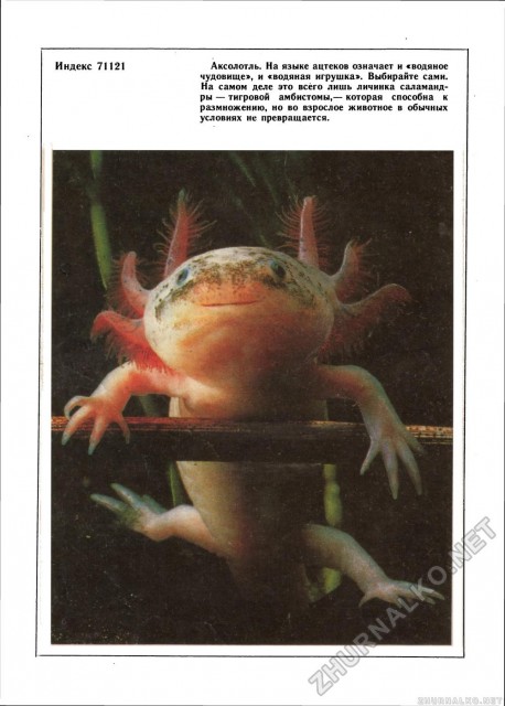 юннат 1992-01