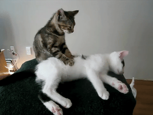massage