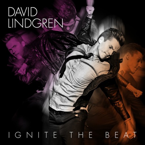David Lindgren – Ignite the Beat [iTunes Plus]