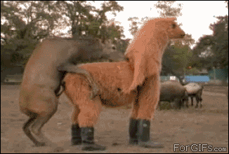 tumblr_mjz8nzntZg1qdlh1io1_400