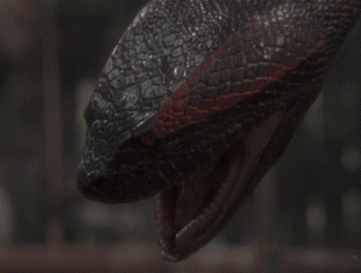 1366430043_1108367464