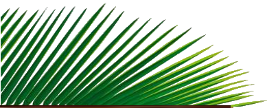 0_a5c67_a3e86cef_-1-L