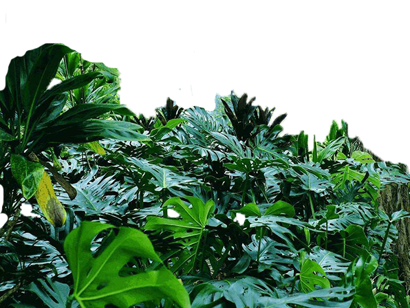 Без имени-1 - копия