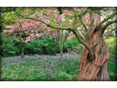 a8549fc27aa870d9be4d6df794bac9a5