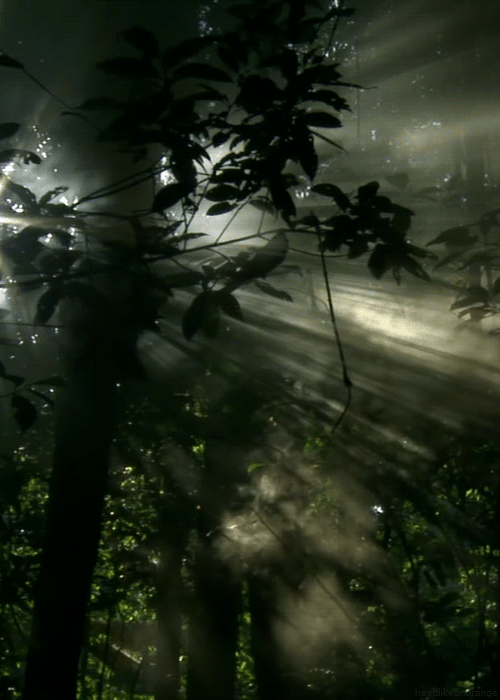 gif-anime-nature-13