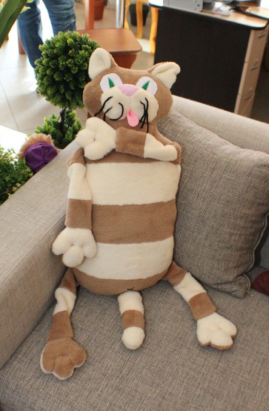cat