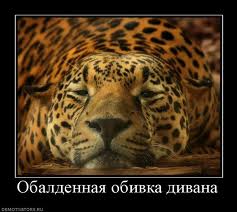 загруженное (5)