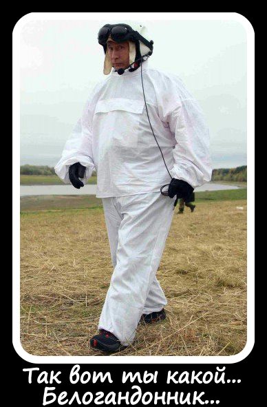 Белогандонник