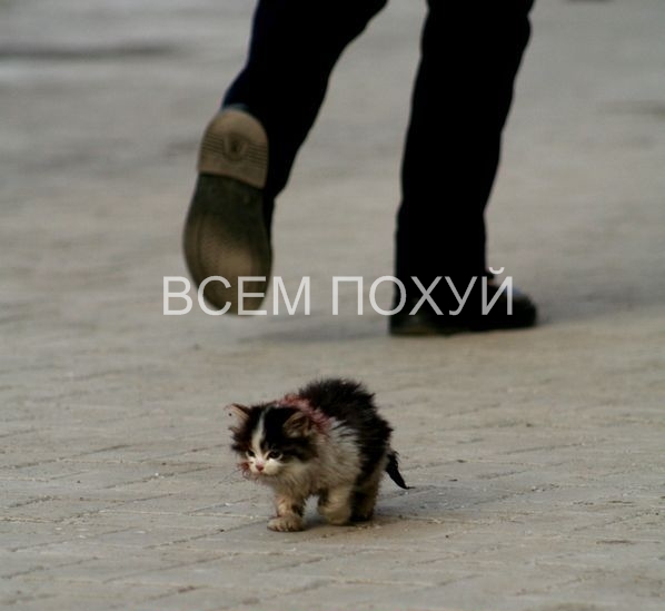 Nobody_cares