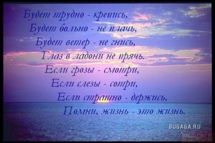 1215086757_117778326058538