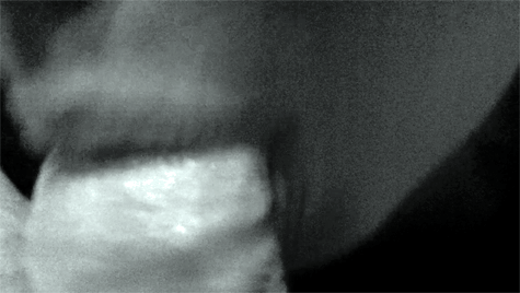 tumblr_mip8xfv1sD1ru963fo1_r1_500