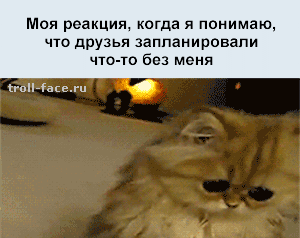 1363377120_-(www.votrube.ru)5