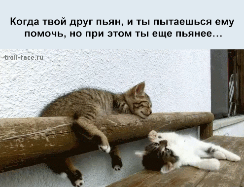 1363377139_-(www.votrube.ru)14 (1)