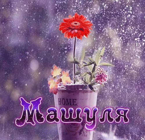 машуля