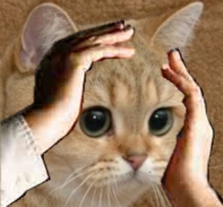 321
